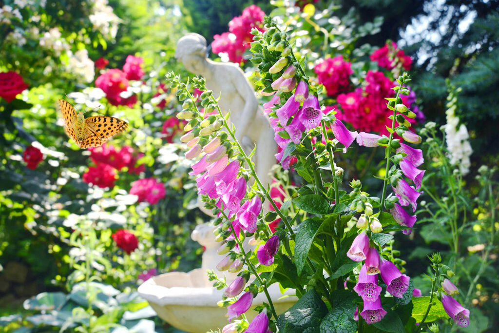 kunst-im-garten-dominic-lindenberg